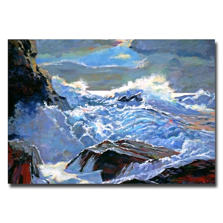 David Lloyd Glover 'Foaming Sea' Canvas Art,16x24
